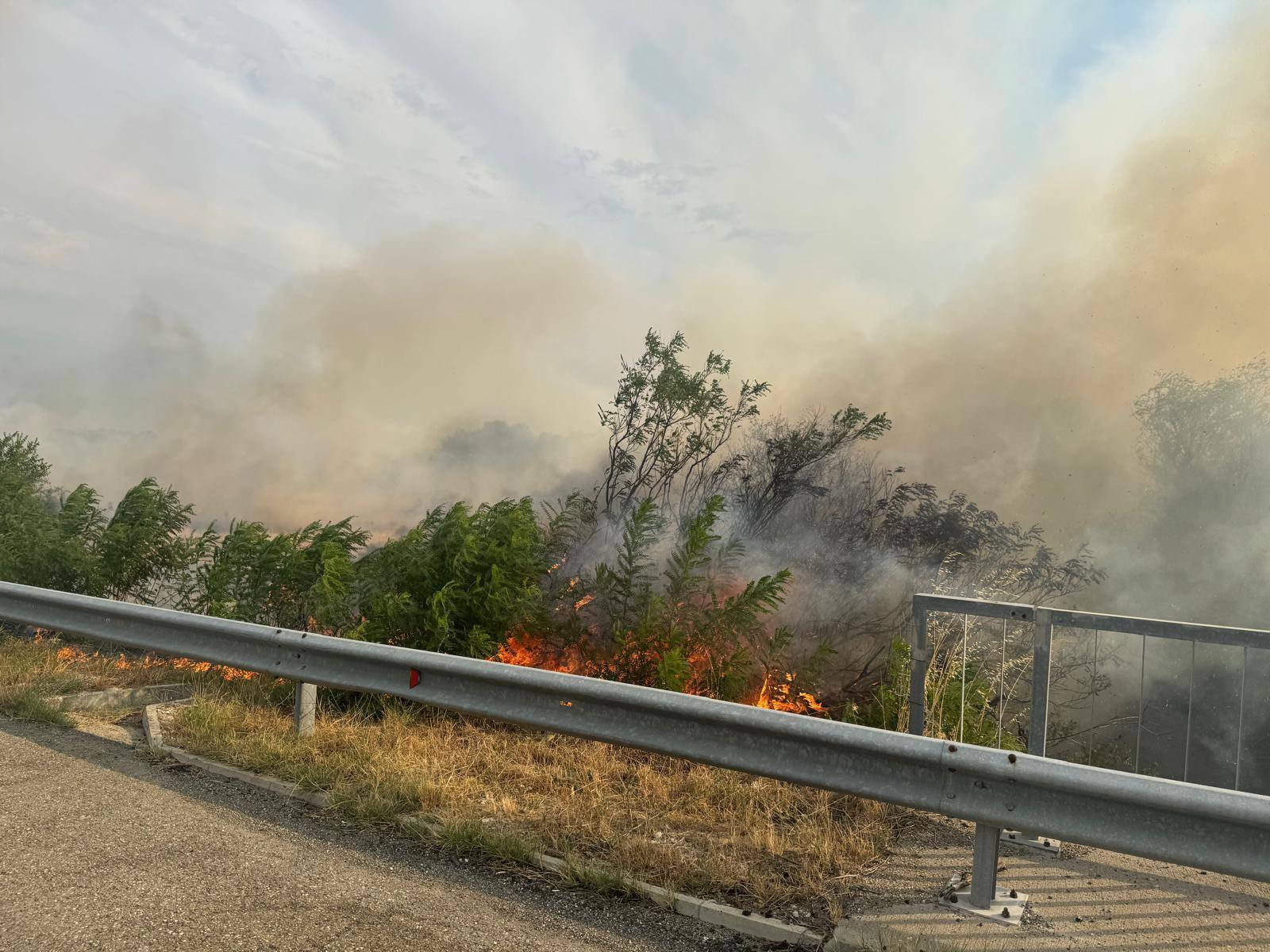 Μεγάλη πυρκαγιά σε δάση απειλεί εκτάσεις, προκαλεί κλείσιμο αυτοκινητοδρόμου στη Βουλγαρία