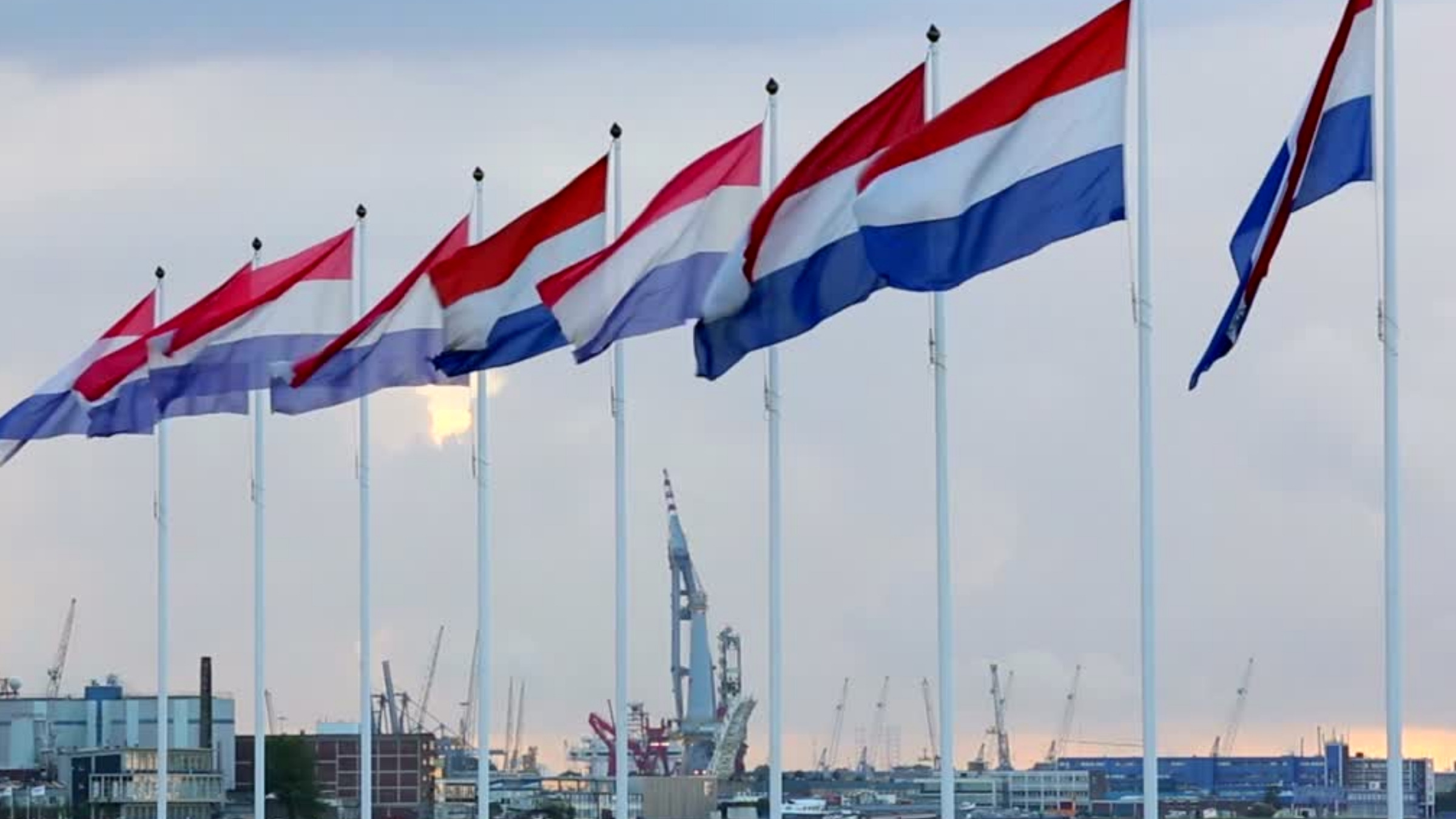 Η στάση των μέσων ενημέρωσης ενόψει των εκλογών και η ενίσχυση της ακροδεξιάς στην Ολλανδία